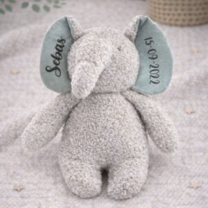 Olifant met grote oren