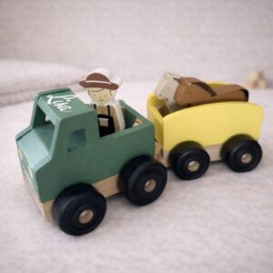 Auto met paardjes